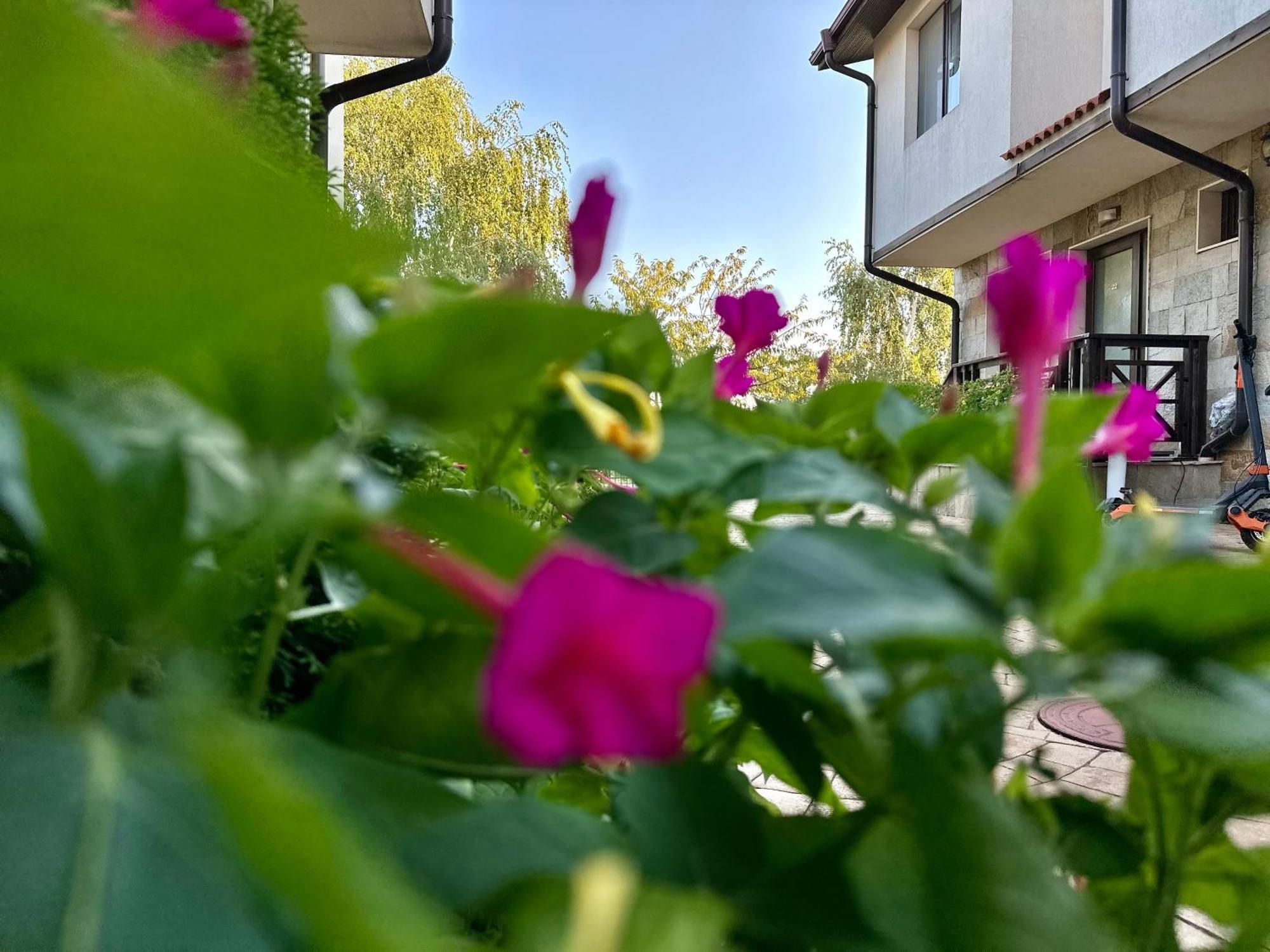 Menada Imperial Heights Villas Солнечный берег Экстерьер фото
